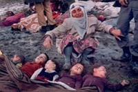 Free kashmir